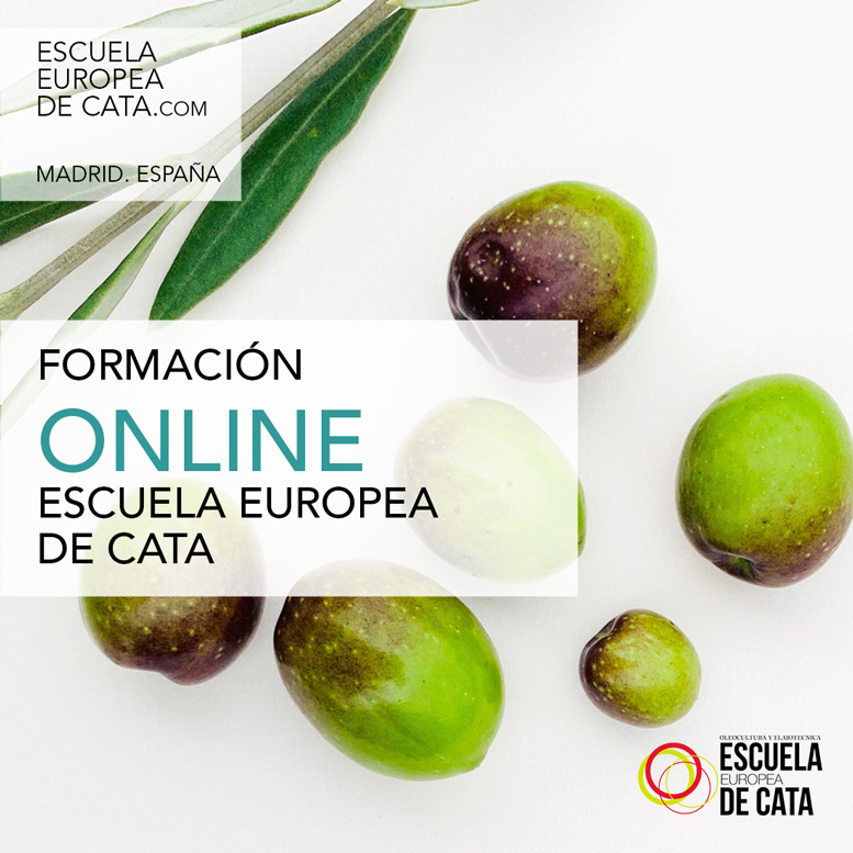 FORMACION ONLINE ACEITES DE OLIVA