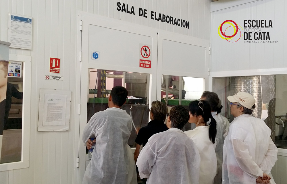 Curso de Maestro/a de Almazara. Elaiólogo/a. Gestión en la producción de aceite de oliva virgen extra de calidad