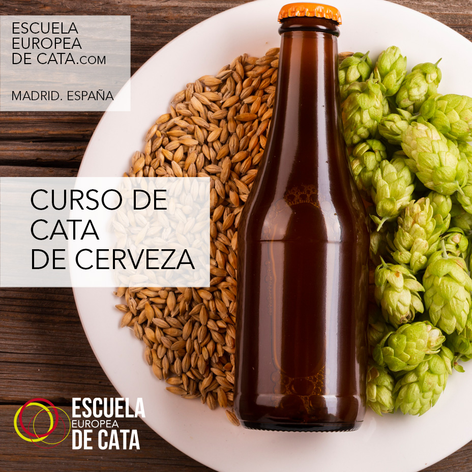 cata cerveza madrid