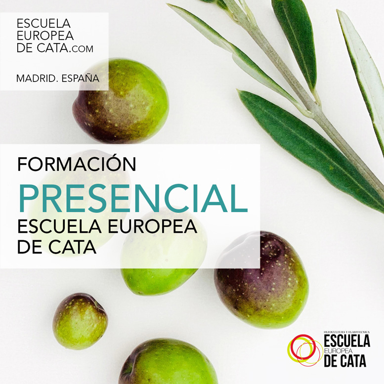 FORMACION ACEITES DE OLIVA