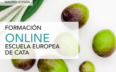 CURSOS ONLINE ACEITES DE OLIVA