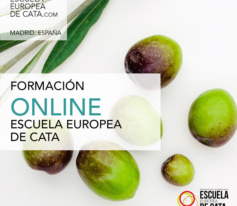 CURSOS ONLINE ACEITES DE OLIVA