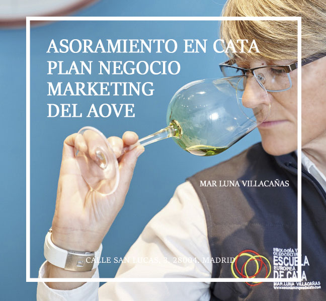 asesoramiento aceites oliva