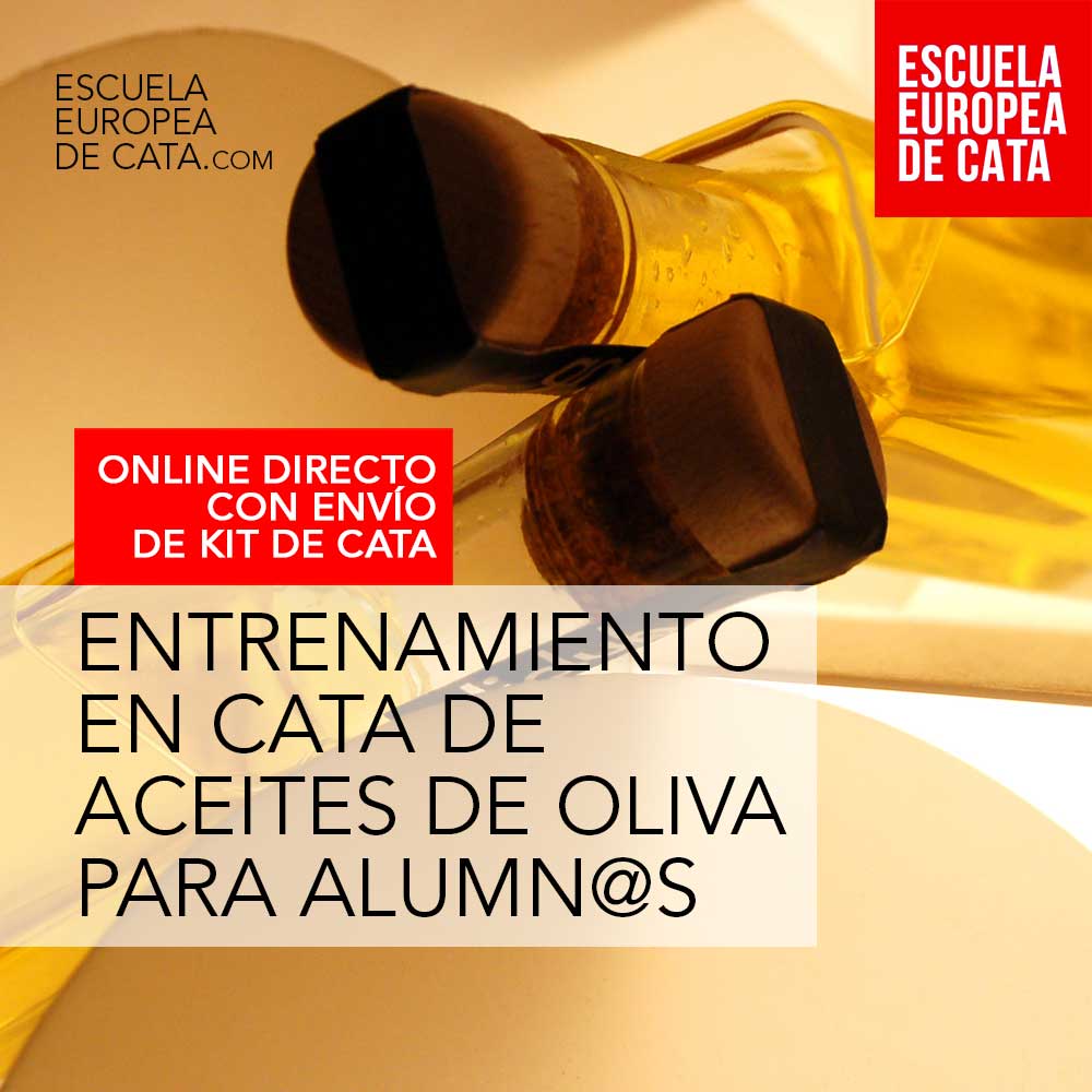 entrenamiento en cata de aceites de oliva
