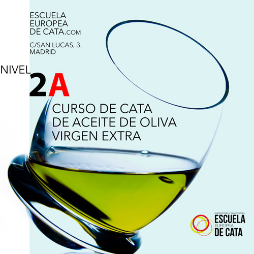 NIVEL 2A. Curso de Cata del aceite