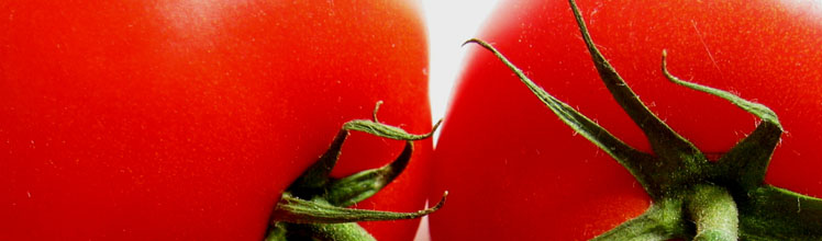 Licopeno y el tomate